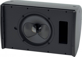 Пассивная акустическая система MARTIN AUDIO CDD10RAL