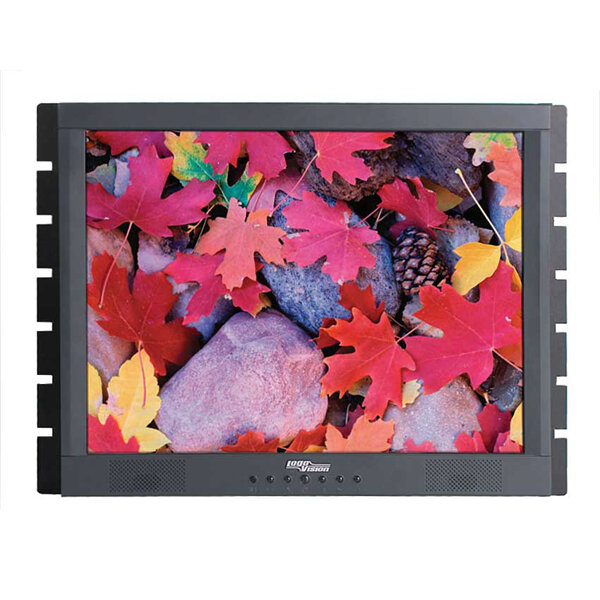 Студийный монитор LogoVision FM-19R SDI