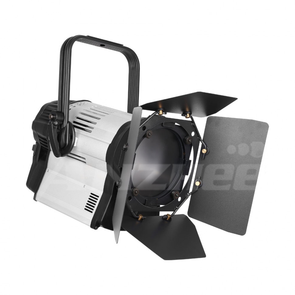 Anzhee PRO Spectrum Fresnel W 300 (CW)