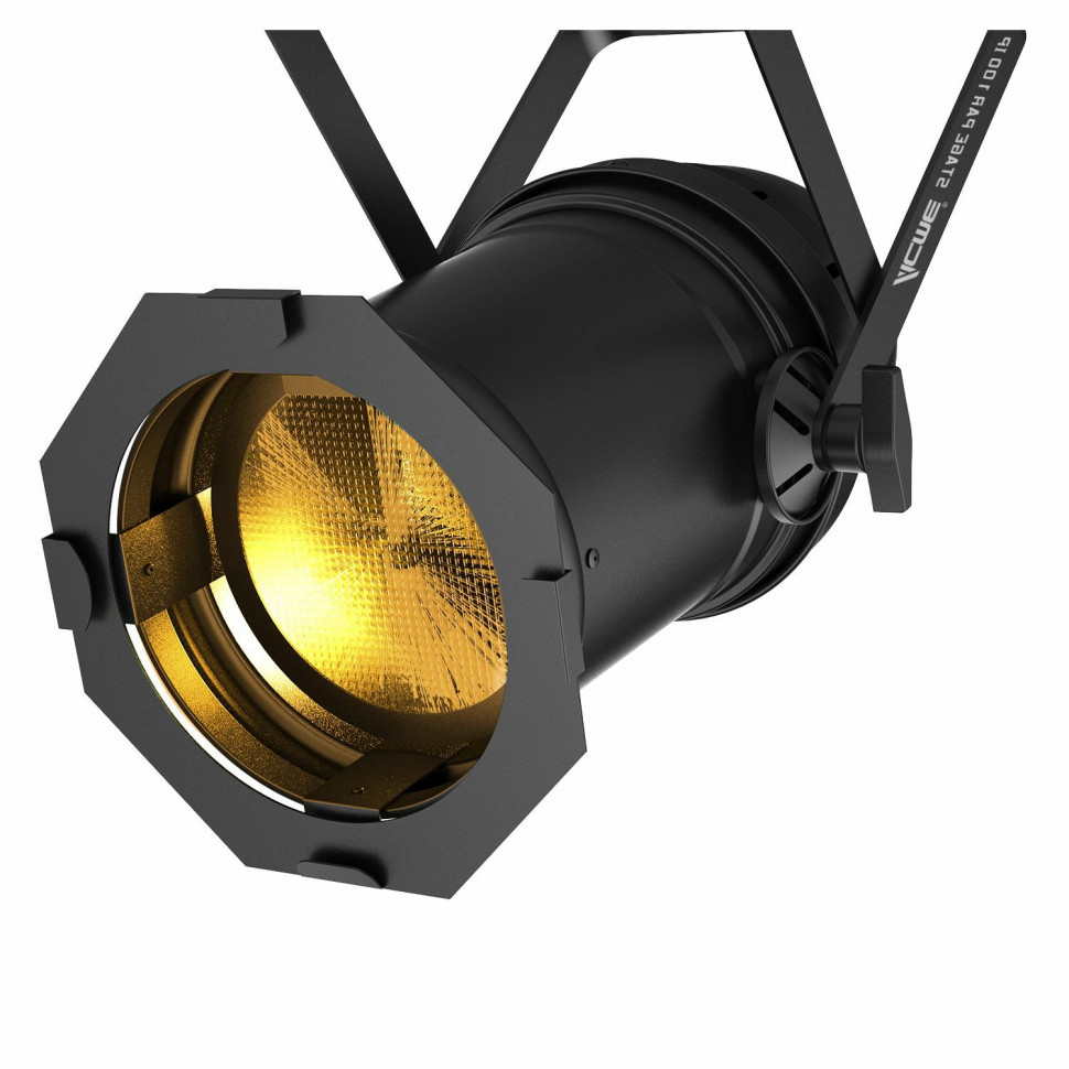 ACME STAGE PAR 100 IP WW Светодиодный прибор